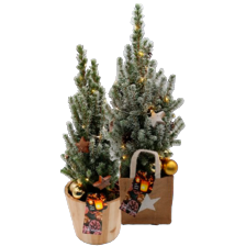 Kerstboompjes arrangementen
